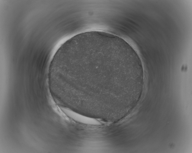 X0000111891104200908201315