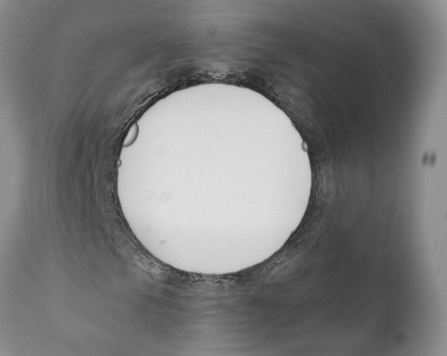 X0000111891105200908201314