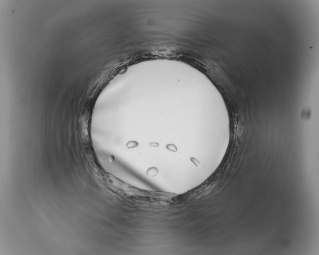 X0000111891106200908201314