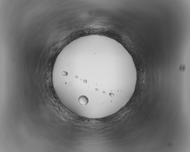 X0000111891109200908201314