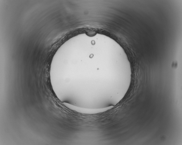 X0000111891110200908201314