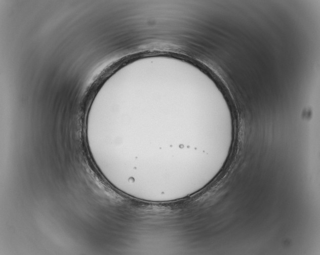 X0000111891115200908201314