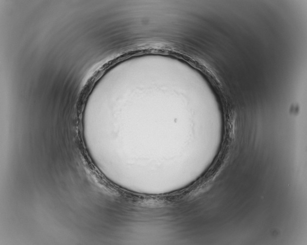 X0000111891117200908201314