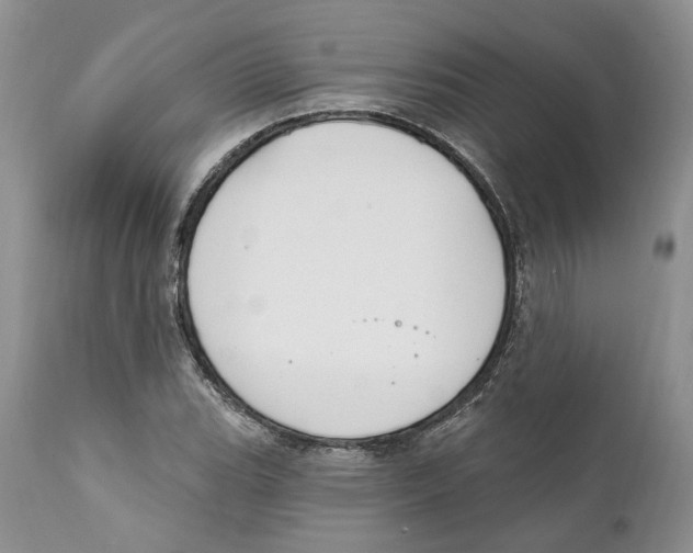 X0000111891119200908201315