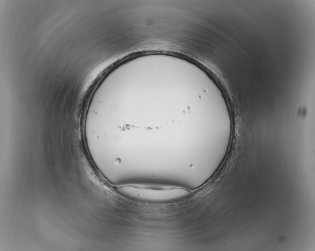 X0000111891120200908201315