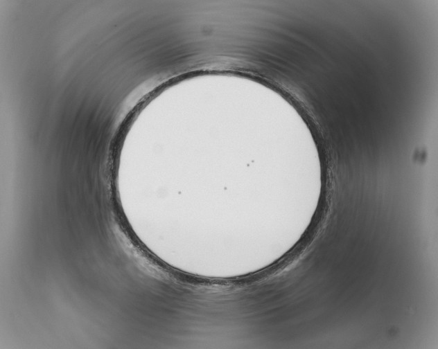 X0000111891122200908201315