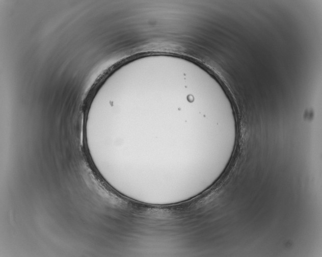 X0000111891123200908201315