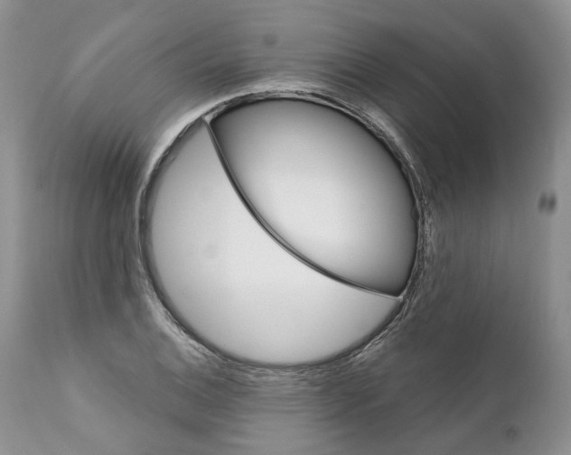 X0000111891124200908201315