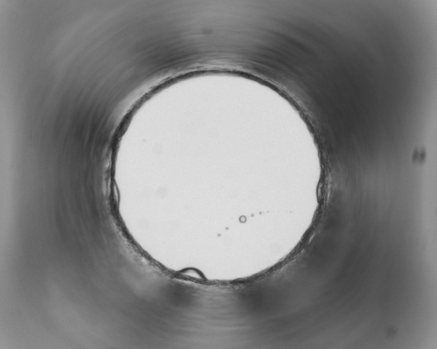 X0000111891126200908201315