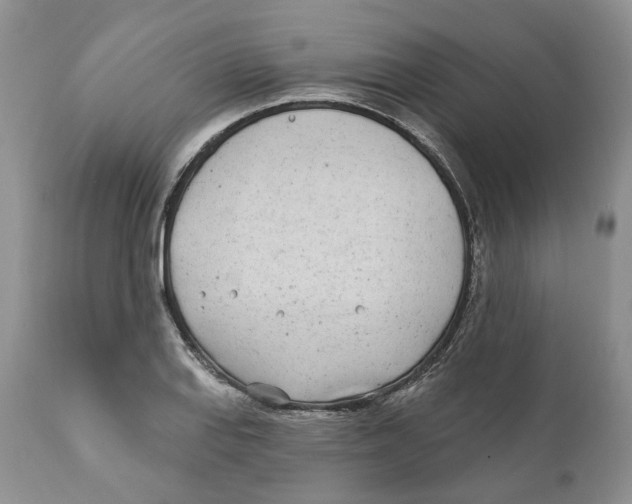 X0000111891127200908201315