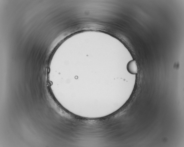 X0000111891130200908201315