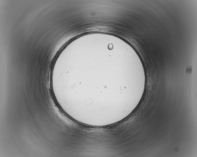 X0000111891131200908201315