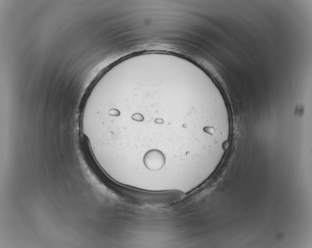 X0000111891133200908201315