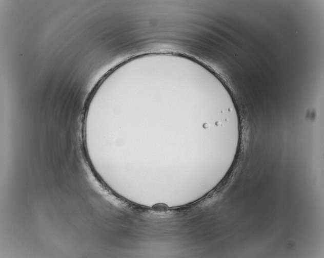 X0000111891134200908201315