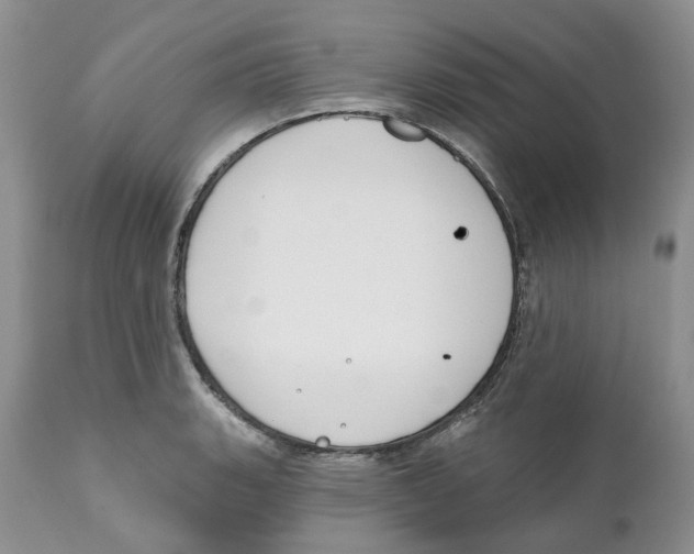 X0000111891135200908201315