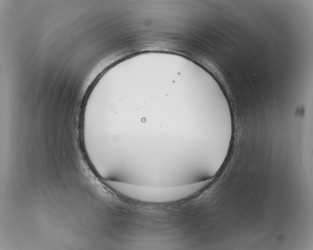 X0000111891138200908201315