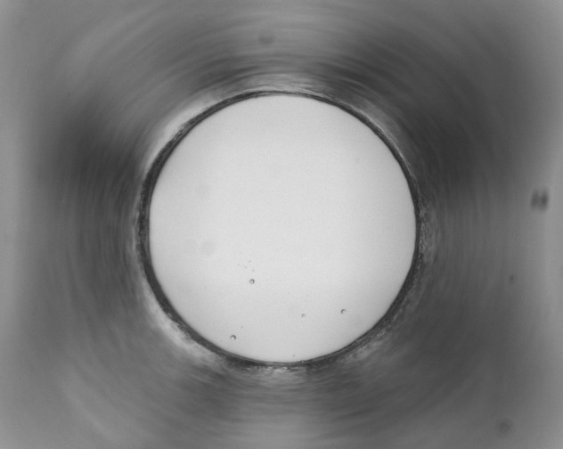 X0000111891139200908201315