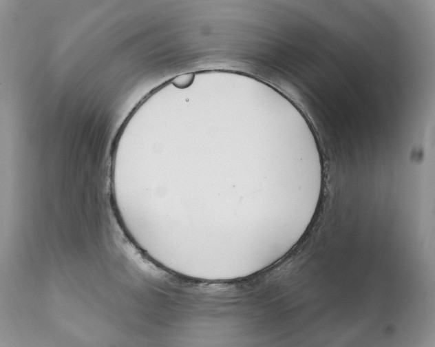 X0000111891140200908201315