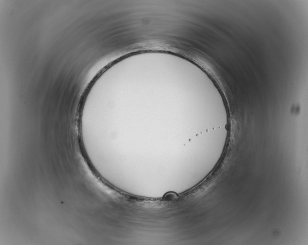 X0000111891141200908201315