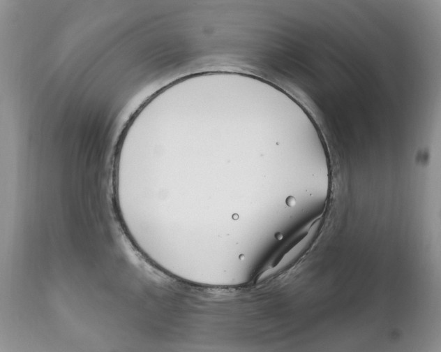 X0000111891144200908201315