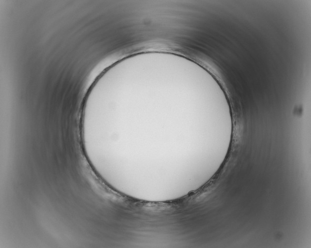 X0000111891146200908201315