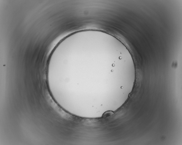 X0000111891148200908201315