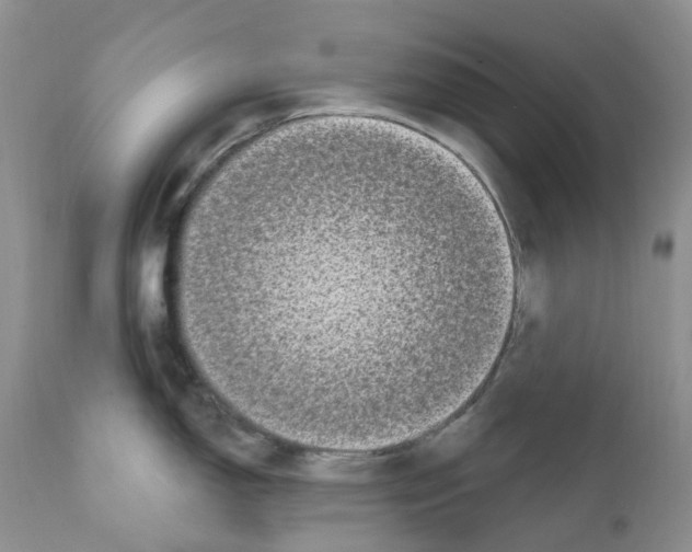 X0000111891150200908201315