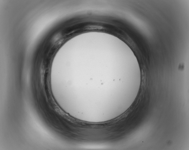 X0000111891151200908201315