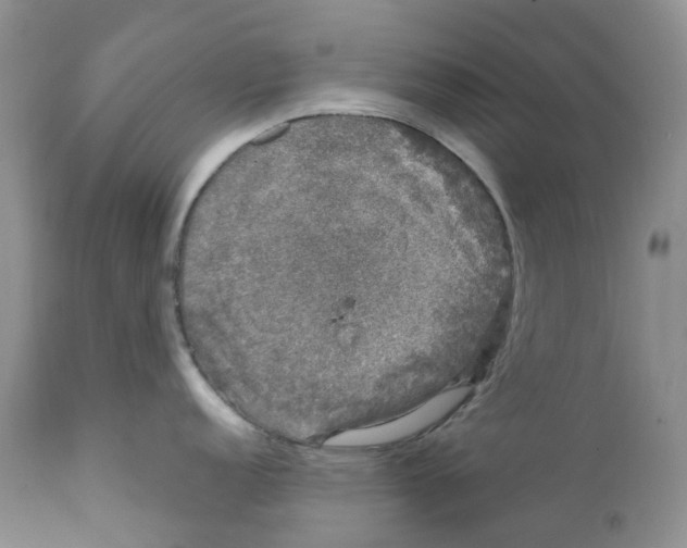 X0000111891152200908201315