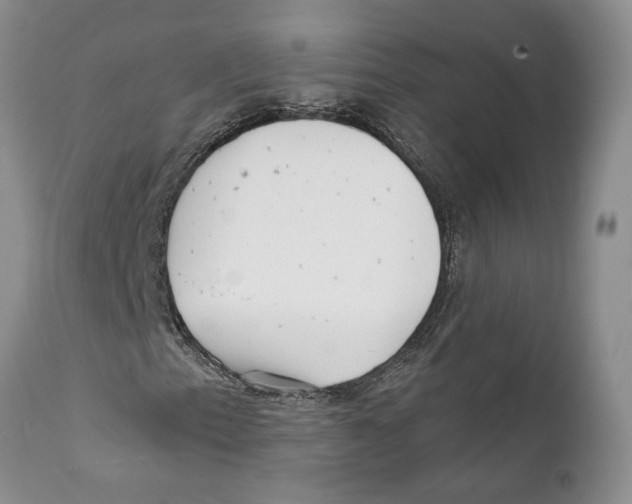 X0000111891153200908201314