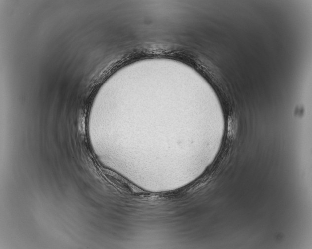 X0000111891155200908201314