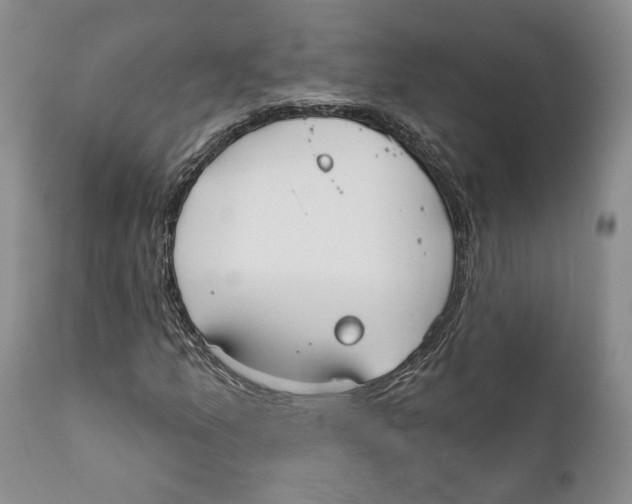 X0000111891157200908201314