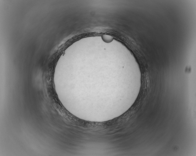 X0000111891158200908201314