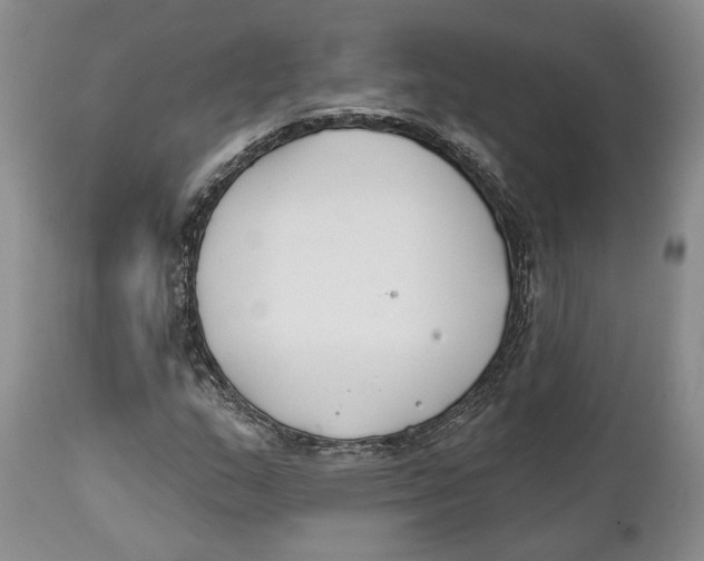 X0000111891159200908201314