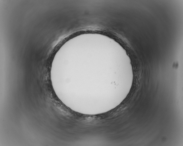 X0000111891160200908201314