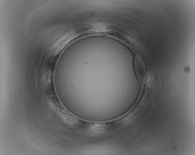 X0000111891161200908201314