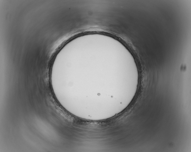 X0000111891167200908201314