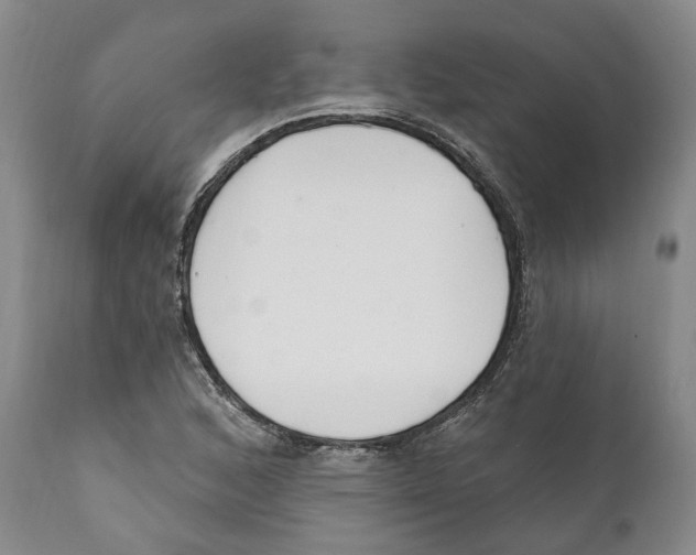 X0000111891168200908201314