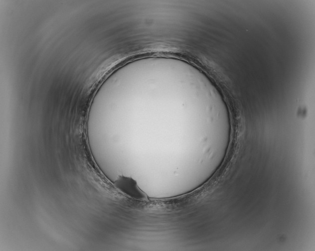 X0000111891169200908201314