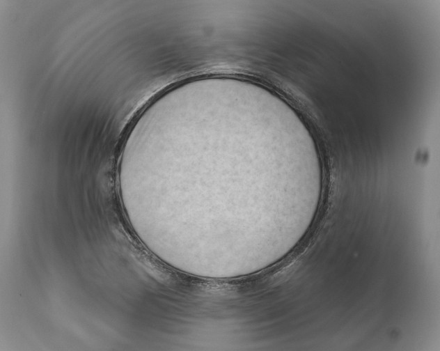 X0000111891170200908201314