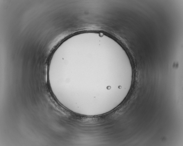 X0000111891171200908201314