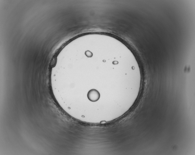 X0000111891173200908201314