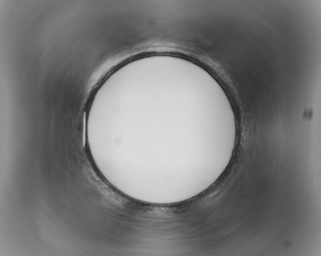 X0000111891175200908201314