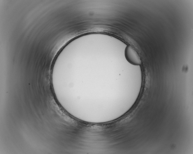 X0000111891178200908201314