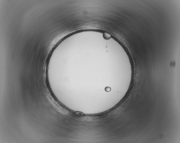 X0000111891179200908201314