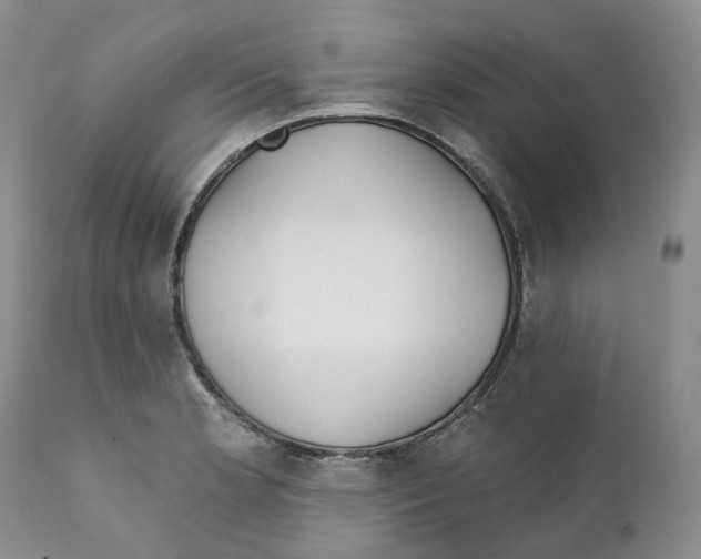 X0000111891181200908201314