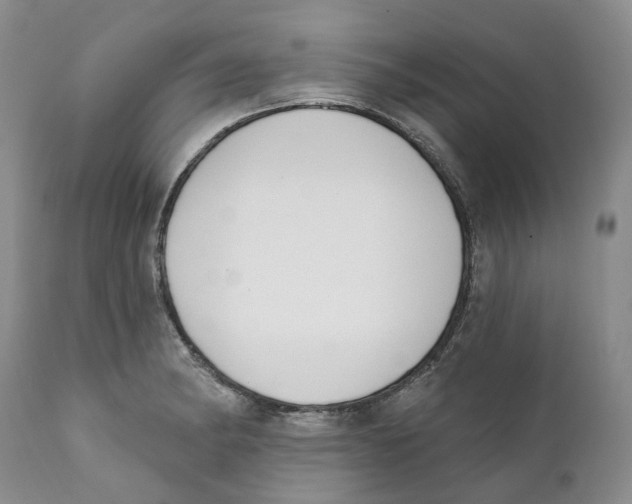 X0000111891182200908201314