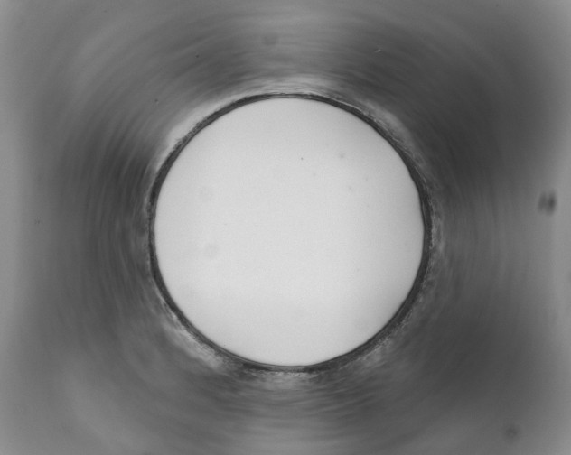 X0000111891184200908201314