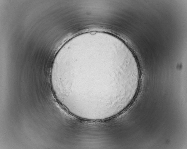 X0000111891185200908201314