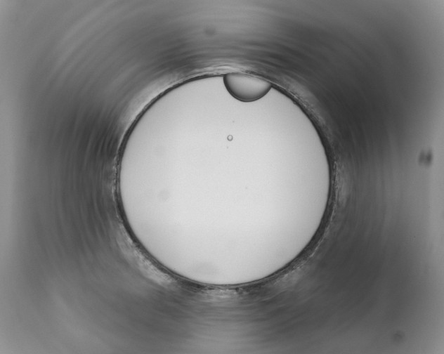 X0000111891186200908201314